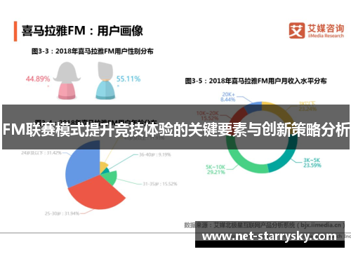 FM联赛模式提升竞技体验的关键要素与创新策略分析
