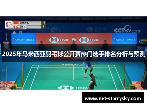 2025年马来西亚羽毛球公开赛热门选手排名分析与预测