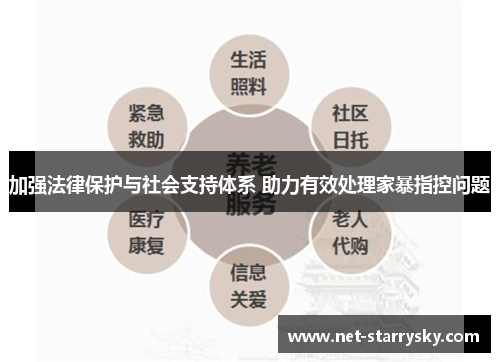 加强法律保护与社会支持体系 助力有效处理家暴指控问题