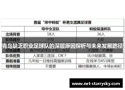 青岛缺乏职业足球队的深层原因探析与未来发展路径